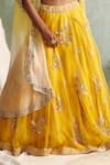 Shop_Priyanka Jain_Yellow Organza V Neck Cape And Lehenga Set _Online_at_Aza_Fashions