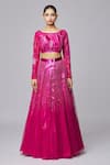 Amit Aggarwal_Fuchsia Tulle Embroidered Striped Boat Metallic Lehenga Set _Online_at_Aza_Fashions