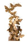 Shop_H2h_Gold Brass Butterfly Flight Sculpture_at_Aza_Fashions