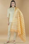 Shop_Nini Mishra_Multi Color Tissue Striped Dupatta _at_Aza_Fashions