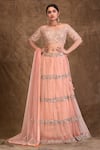 Buy_Aariyana Couture_Pink Silk, Net Sequins, Tassels One Shoulder Embellished Lehenga Set_Online_at_Aza_Fashions
