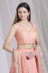 Ariyana Couture_Peach Butterfly Net V Neck Embroidered Lehenga Set For Women_at_Aza_Fashions