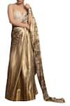 Buy_Siddartha Tytler_Gold Digital Printed Saree With Crystallised Corset Blouse_at_Aza_Fashions