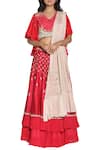 Buy_Nautanky_Layered Lehenga With Embroidered Top_at_Aza_Fashions