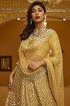 Abhinav Mishra_Gold Mirror Jaal Embroidered Lehenga Set_Online_at_Aza_Fashions