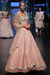 Anushree Reddy_Pink Embroidered Lehenga Set_Online_at_Aza_Fashions