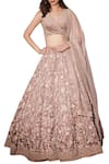 Mishru_Pink Organza Embroidered V Neck Lehenga Set _Online_at_Aza_Fashions