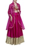 Buy_Neha Khullar_Pink Raw Silk V Neck Embroidered Lehenga Set  _at_Aza_Fashions