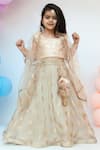 Buy_Fayon Kids_Gold Netlining Fabric Dupion Shimmer Lehenga Set _at_Aza_Fashions