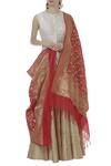Samyukta Singhania_Red Banarasi Silk Dupatta_Online_at_Aza_Fashions