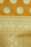 Shop_Samyukta Singhania_Yellow Raw Silk Banarasi Dupatta_Online_at_Aza_Fashions