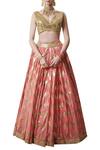 Abhinav Mishra_Gold Chanderi Lehenga With Blouse_Online_at_Aza_Fashions