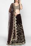 Buy_Abhinav Mishra_Brown Raw Silk, Net, Velvet Leaf Neck Embellished Lehenga Set_at_Aza_Fashions