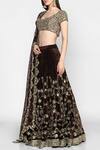 Abhinav Mishra_Brown Raw Silk, Net, Velvet Leaf Neck Embellished Lehenga Set_Online_at_Aza_Fashions