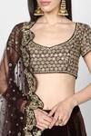 Abhinav Mishra_Brown Raw Silk, Net, Velvet Leaf Neck Embellished Lehenga Set_at_Aza_Fashions