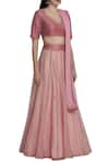 DNU Priyal Prakash_Pink Raw Silk Embellished Lehenga Set_Online_at_Aza_Fashions