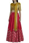 Dnu Priyal Prakash_Yellow Raw Silk Embellished Lehenga Set_Online_at_Aza_Fashions
