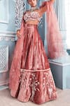 Buy_Mahima Mahajan_Pink Velvet Sweetheart Neck Embroidered Blouse Lehenga Set _at_Aza_Fashions