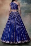 Shop_Vvani by Vani Vats_Blue Net Asymmetric Embroidered Lehenga Set _at_Aza_Fashions