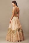 Shop_Mani Bhatia_Peach Organza Embellished Lehenga Skirt _at_Aza_Fashions