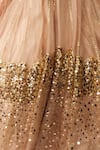 Mani Bhatia_Peach Organza Embellished Lehenga Skirt _Online_at_Aza_Fashions