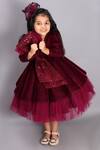 Janyas Closet_Maroon Velvet Gown With Hair Clip _at_Aza_Fashions