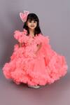 JANYAS CLOSET_Peach Net Embroidered Gown With Hair Clip _at_Aza_Fashions