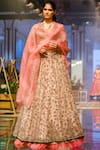 Buy_Ridhi Mehra_Beige Net V-shaped Embroidered Bridal Lehenga Set _at_Aza_Fashions