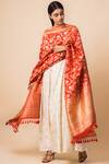 Buy_Ekaya Banaras_Red Banarasi Silk Dupatta_at_Aza_Fashions