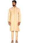 Buy_Arihant Rai Sinha_Beige Dupion Silk Embroidered Kurta Pant Set_Online_at_Aza_Fashions