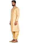 Shop_Arihant Rai Sinha_Beige Dupion Silk Embroidered Kurta Dhoti Pant Set_Online_at_Aza_Fashions