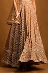 Izzumi Mehta_Gold Blouse And Lehenga Chanderi Jacket Net Zardozi Embroidered Set _Online_at_Aza_Fashions