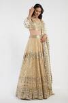 Abhinav Mishra_Gold Blouse Raw Silk Lehenga Tissue Organza Mirror Embellished Bridal Set _Online_at_Aza_Fashions