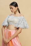 Buy_Pallavi Jaikishan_White Net Straight Embroidered Off Shoulder Blouse _Online_at_Aza_Fashions