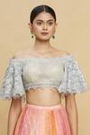 Shop_Pallavi Jaikishan_White Net Straight Embroidered Off Shoulder Blouse _Online_at_Aza_Fashions