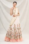Neha Mehta Couture_White Lucknowi V Neck Embroidered Layered Saree Gown_Online_at_Aza_Fashions