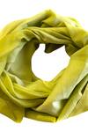 Pashma_Green Frayed Scarf _Online_at_Aza_Fashions