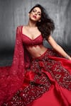 Shehlaa Khan_Red Lace Sweetheart Neck Blouse And Bridal Lehenga Set _Online_at_Aza_Fashions