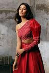 Dheeru Taneja_Red Organza, Satin One Shoulder Embroidered Gown _Online_at_Aza_Fashions
