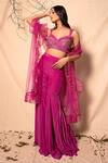 Dheeru Taneja_Purple Organza, Net, Chanderi, Crepe V Neck Embroidered Sharara Set _Online_at_Aza_Fashions