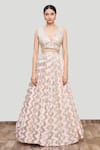 Neha Khullar_Pink Organza, Georgette, Chanderi Silk V Neck Embroidered Lehenga Set _Online_at_Aza_Fashions