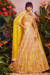 Buy_Aneesh Agarwaal_Yellow Soft Organza Lining Shantoon V Neck Bridal Lehenga Set _at_Aza_Fashions