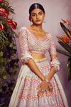 Aneesh Agarwaal_Grey Soft Organza Lining Shantoon V Neck Bridal Lehenga Set _Online_at_Aza_Fashions