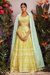 Aneesh Agarwaal_Yellow Soft Organza Lining Shantoon V Neck Bridal Lehenga Set _Online_at_Aza_Fashions