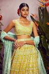 Buy_Aneesh Agarwaal_Yellow Soft Organza Lining Shantoon V Neck Bridal Lehenga Set _Online_at_Aza_Fashions