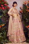 Buy_Aneesh Agarwaal_Beige Soft Organza Lining Shantoon V Neck Bridal Lehenga Set _at_Aza_Fashions