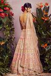 Shop_Aneesh Agarwaal_Beige Soft Organza Lining Shantoon V Neck Bridal Lehenga Set _at_Aza_Fashions