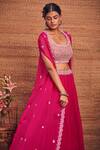 Aneesh Agarwaal_Pink Soft Organza U Neck Cape And Skirt Set _Online_at_Aza_Fashions