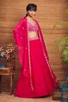 Buy_Aneesh Agarwaal_Pink Soft Organza V Neck Cape And Skirt Set _at_Aza_Fashions
