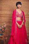 Aneesh Agarwaal_Pink Soft Organza V Neck Cape And Skirt Set _Online_at_Aza_Fashions